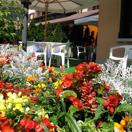 Hotel Binelli Pinzolo Dış mekan fotoğraf