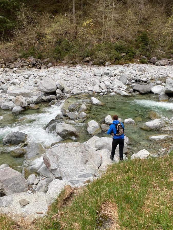 Hotel Binelli Pinzolo Dış mekan fotoğraf