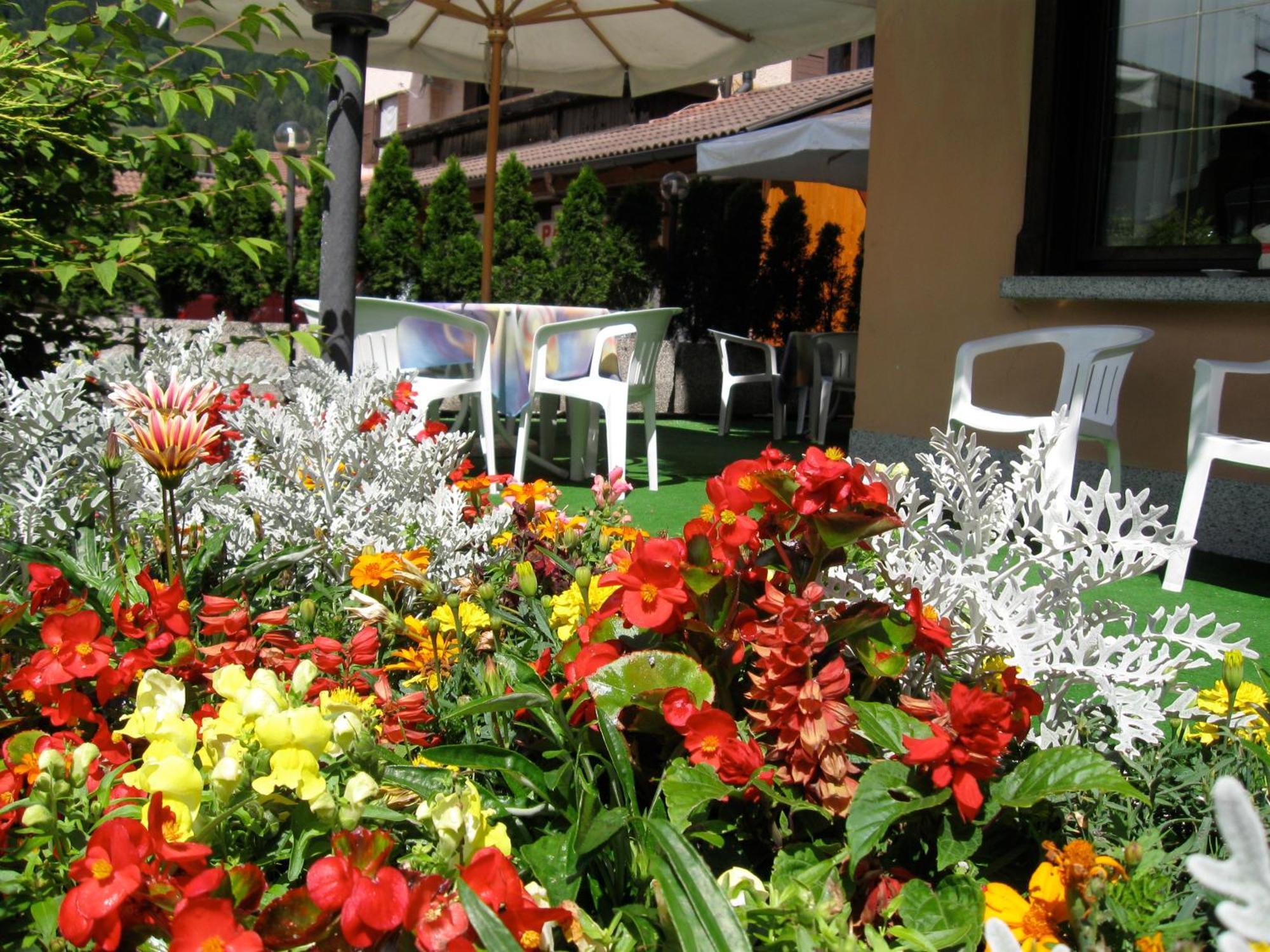 Hotel Binelli Pinzolo Dış mekan fotoğraf