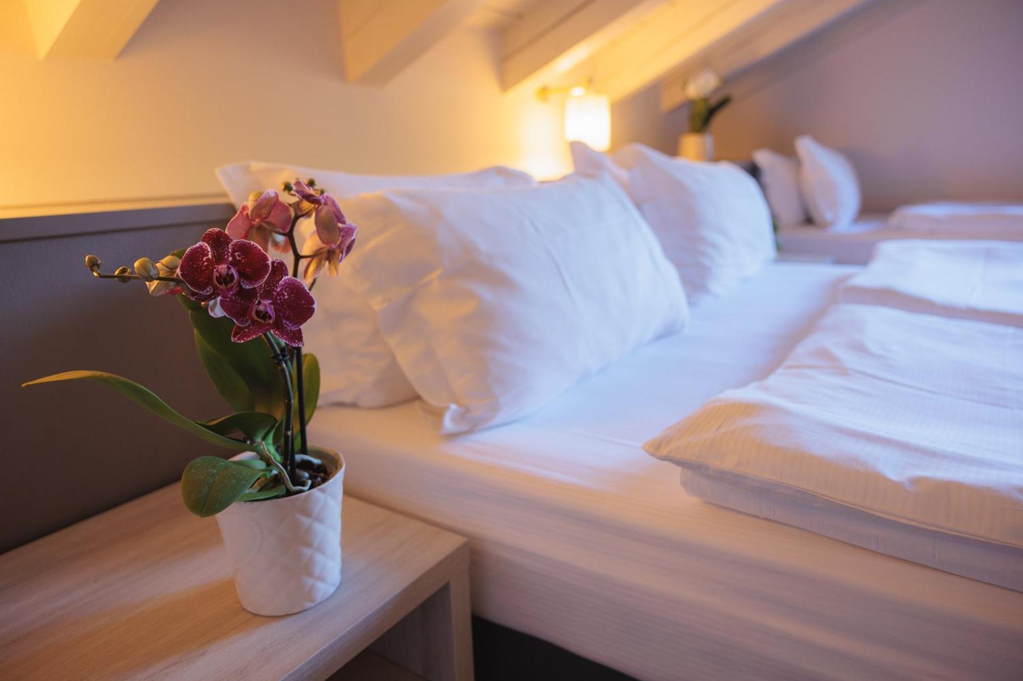 Hotel Binelli Pinzolo Dış mekan fotoğraf
