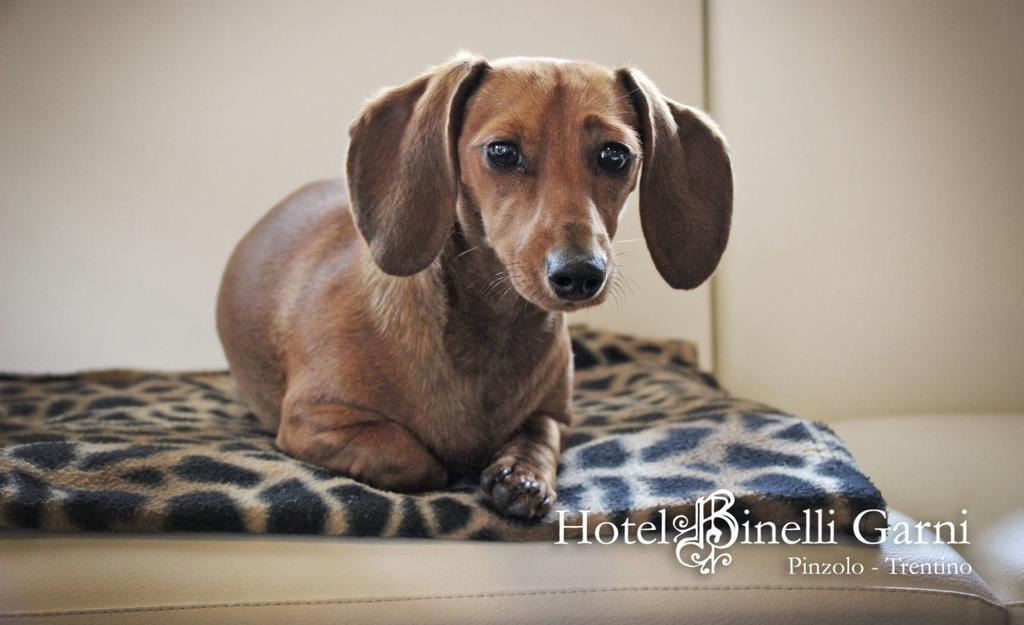 Hotel Binelli Pinzolo Dış mekan fotoğraf