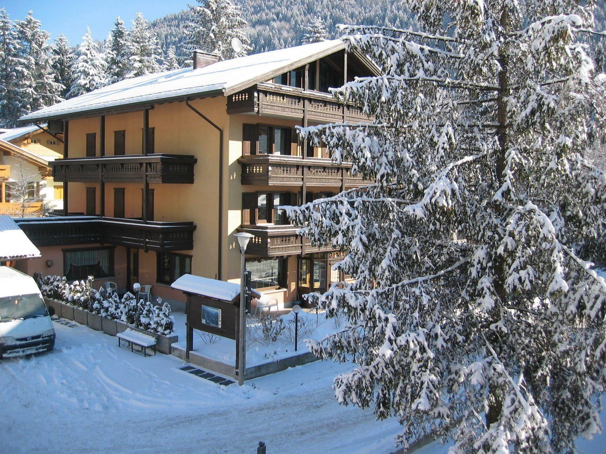 Hotel Binelli Pinzolo Dış mekan fotoğraf